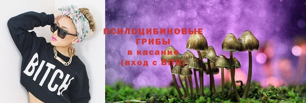 твердый Сафоново
