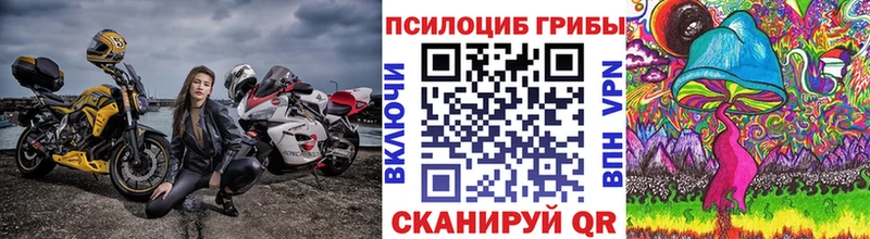 Псилоцибиновые грибы мицелий  где купить   Весьегонск 